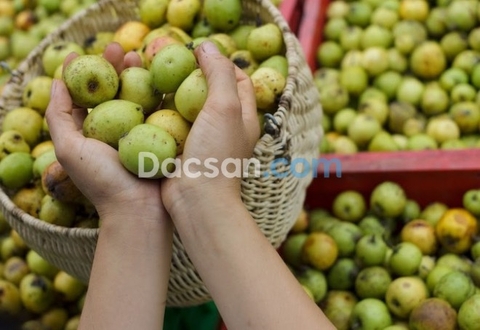 Kể bạn nghe vị thanh ngọt trong câu chuyện của quả táo mèo