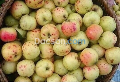 SÀNH ĂN TÁO MÈO, HÃY CHỌN QUẢ CÓ SÂU