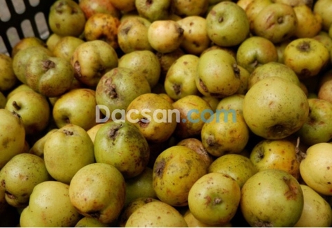 Chữa mỡ máu bằng táo mèo