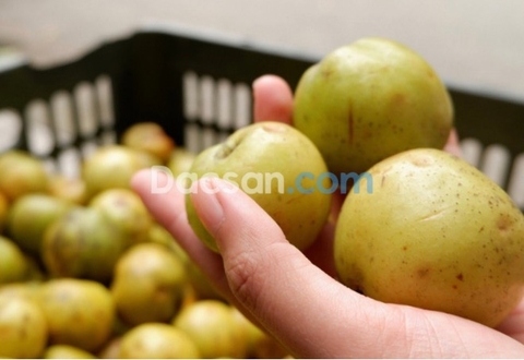 TÁO MÈO CÓ NHỮNG TÁC DỤNG GÌ?