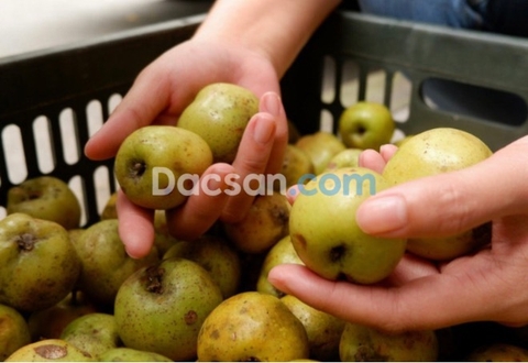 GIẢM MỠ BỤNG HIỆU QUẢ VỚI “THẦN DƯỢC” TÁO MÈO