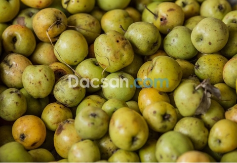 Mùa táo mèo tươi, hãy tranh thủ làm ngay các món sau!