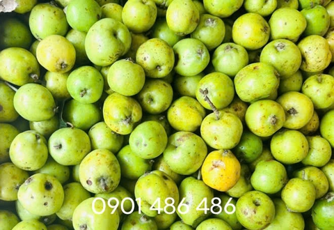 Hướng dẫn bạn cách ngâm rượu táo mèo ngon nhất