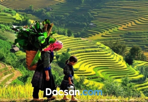 ĐẶC SẢN BỐN PHƯƠNG TẠI DACSAN.COM