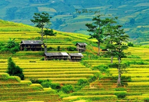 Tây Bắc tháng 5, rực rỡ sắc nắng, dịu mát sắc mây