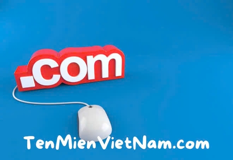 Kinh doanh đặc sản mua tên miền .com - Đuôi tên miền có giá trị cao nhất