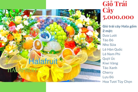 Giỏ hoa quả 5000k HL50001