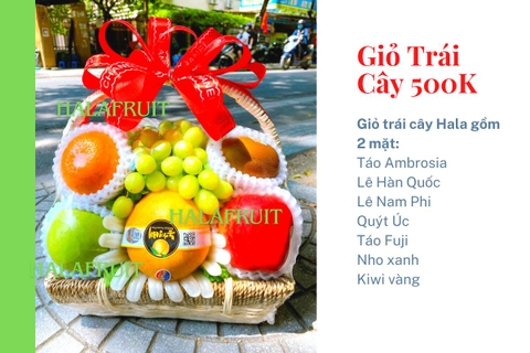 Giỏ hoa quả 500k Mã Hl5050