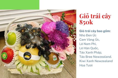 Giỏ Trái Cây 850k Mã HL8501