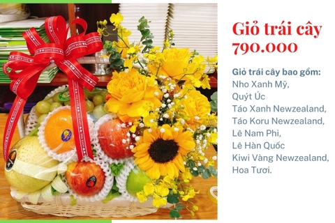 Giỏ Trái Cây 790k Mã HL7901