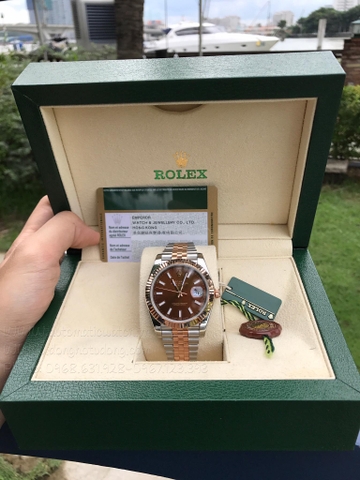 Đồng hồ ROLEX Datejust 41 Sundust Dial Steel and 18K Everose Gold  126331