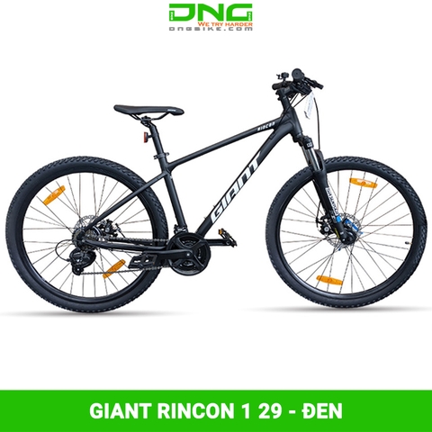 Xe đạp địa hình GIANT RINCON 1 29