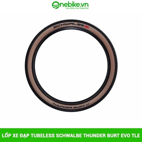 Lốp Xe Đạp Tubeless SCHWALBE Thunder Burt Evo Tle 29x2.25