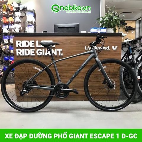 Xe đạp đường phố GIANT ESCAPE 1 D-GC 2024