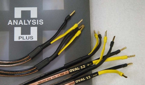 Vì sao nên lựa chọn thương hiệu Analysis?