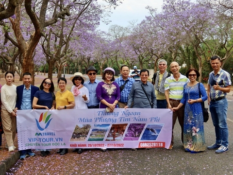 Tour Nam Phi: HÀ NỘI-JOHANNESBURG – PRETORIA – MABULA - CAPE TOWN-HÀ NỘI 8N/7Đ: Thưởng Ngoạn Hoa Phượng Tím Nam Phi