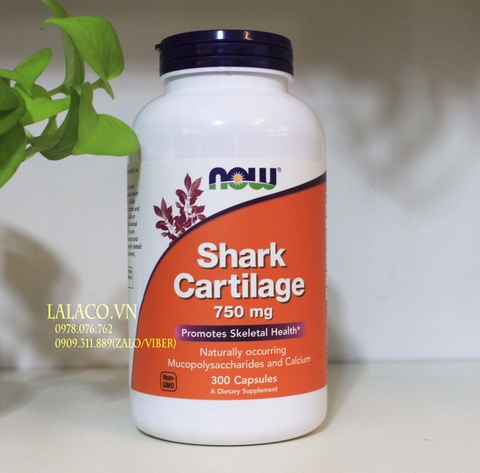 Sụn vi cá mập NOW Shark Cartilage 750mg 300 viên