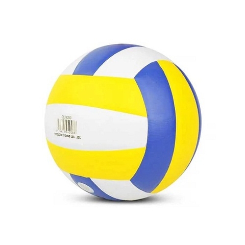Quả bóng chuyền da