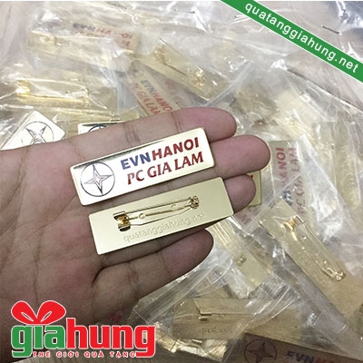 Huy hiệu đồng EVN HANOI 035