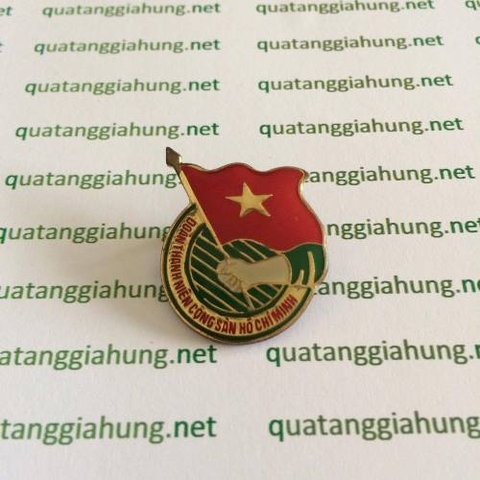 Huy hiệu cài áo 022