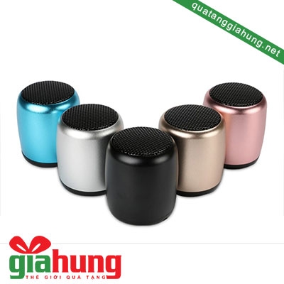 Loa di động mini 025