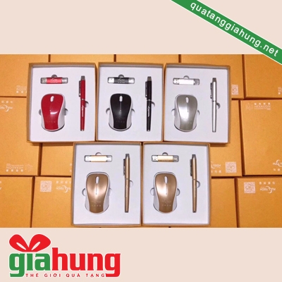 Bút ký + USB + Chuột -  065