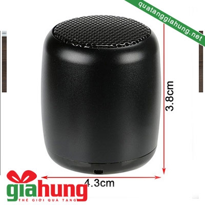 Loa di động bluetooth 030