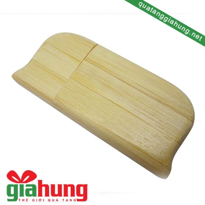 usb gỗ 061