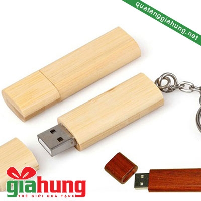 Usb gỗ 064