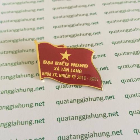 Huy hiệu hội đồng nhân dân 028