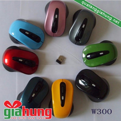 Chuột không dây W300