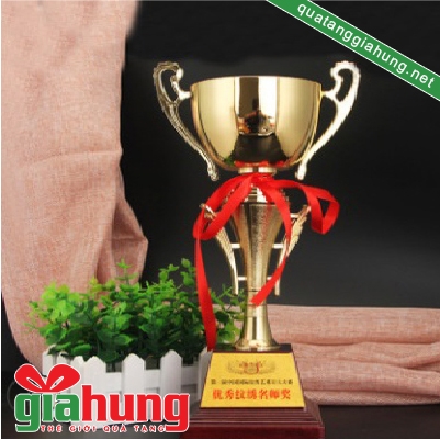 Cúp thể thao 03