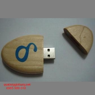 USB GỖ     GH-USBG 017