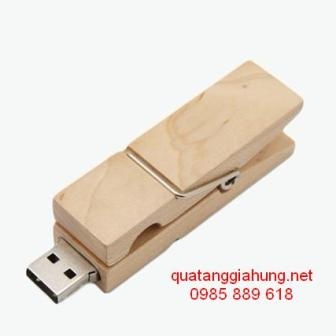 USB GỖ     GH-USBG 028