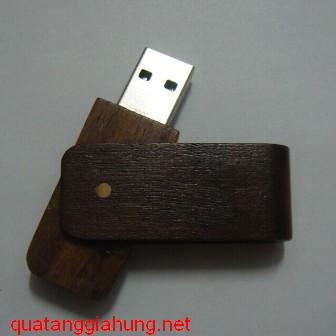 USB GỖ     GH-USBG 018