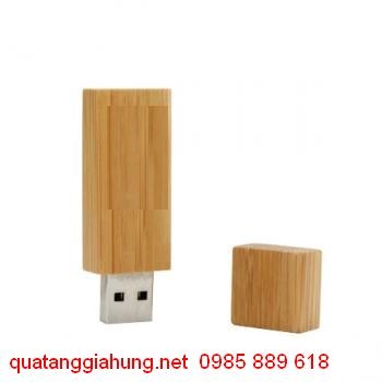 USB GỖ     GH-USBG 020