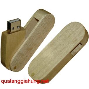 USB GỖ     GH-USBG 011