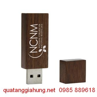 USB GỖ   GH-USBG 039