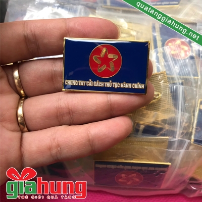 Huy hiệu Hành chính 037