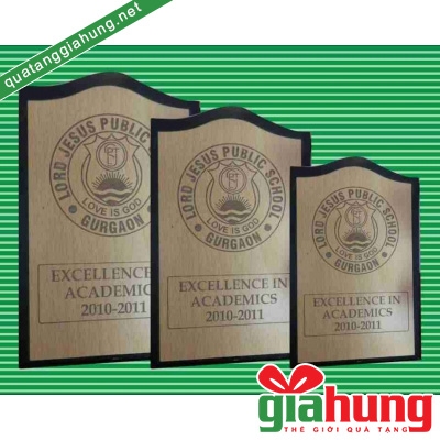 Kỷ niệm chương gỗ 010