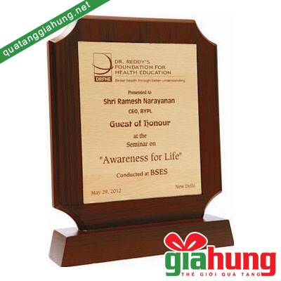 Kỷ niệm chương gỗ 015