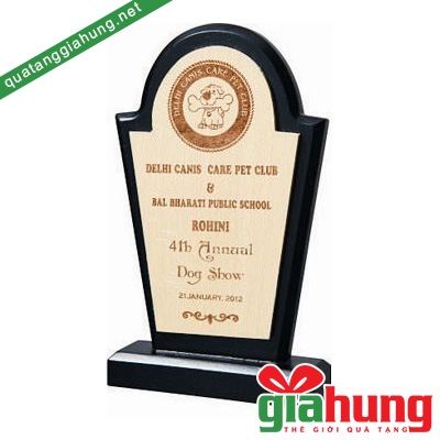 Kỷ niệm chương đồng gỗ 021