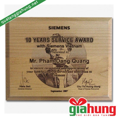 Kỷ niệm chương gỗ 005