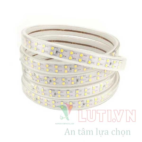 Đèn led dây 220V