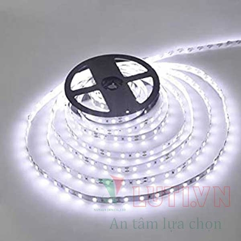 Các loại Đèn led chiếu sáng