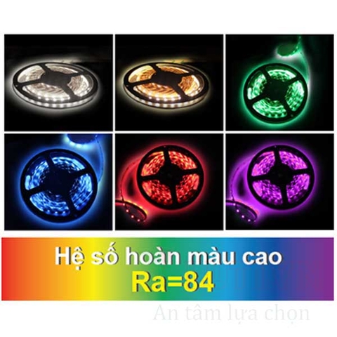 Đèn led dây 5050 đổi màu ngoài trời 24V FSB-5050-IP65-L60-RGB