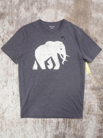 Áo Thun Nam Banana Republic Graphic Tee