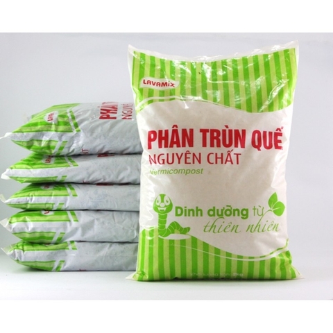 PHÂN TRÙN QUẾ