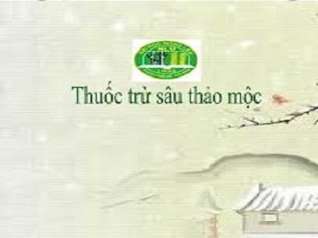 THUỐC THẢO MỘC TRỪ CÔN TRÙNG VINEEM 1500EC