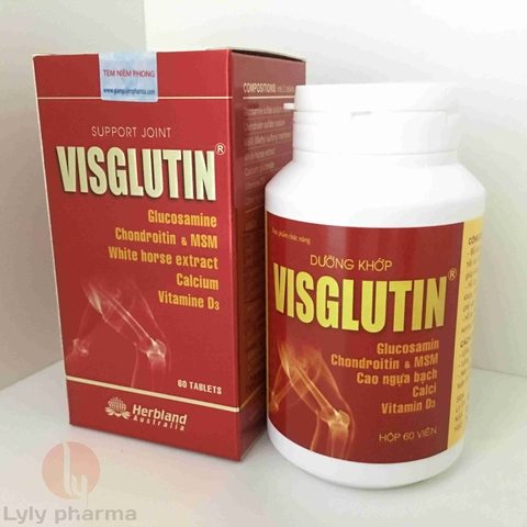 Visglutin - Thực phẩm chức năng dưỡng khớp